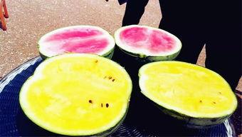 吃瓜爆料免费进广东,带你畅游广东美食之旅