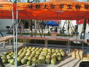 吃瓜爆料大赛怎么参加,全民参与，揭秘娱乐圈幕后风云