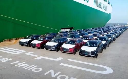 比亚迪吃瓜爆料是真的吗